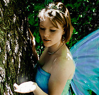 fairy