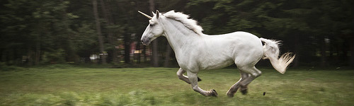 unicorn